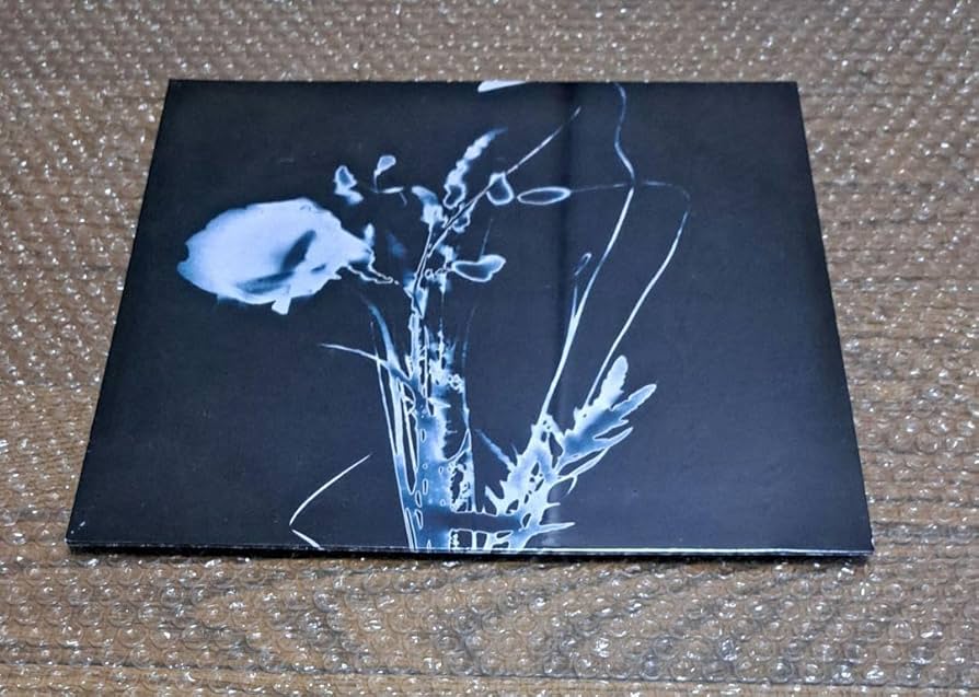 INORAN 想 レコード